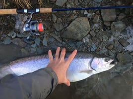 Elite Steelhead Adventure