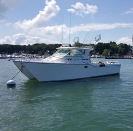 Lake Erie Walleye Hunt