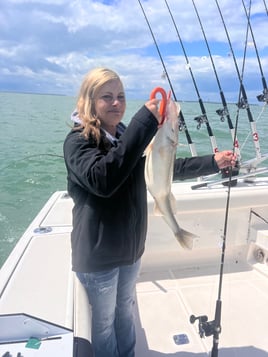 Walleye Trolling Afternoon