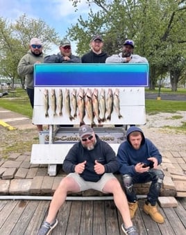 Walleye Trolling Morning (AM)