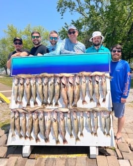 Walleye Trolling Morning (AM)