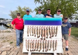 Walleye Trolling Morning (AM)