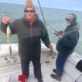 Yellow Perch and Smallmouth