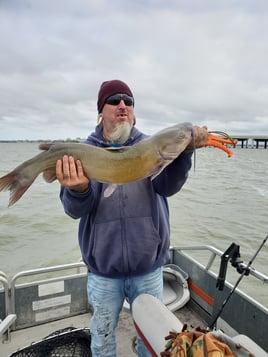 Lake Erie Catfish Special