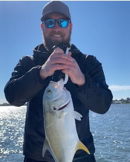 Loxahatchee River Snook