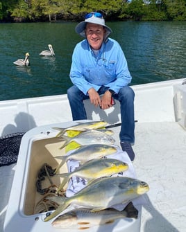 Loxahatchee River Snook