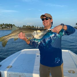 Snook Fishing in Jupiter, Florida