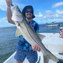 Snook Fishing in Jupiter, Florida