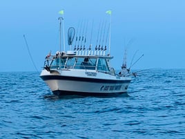 Lake Erie Walleye Warfare