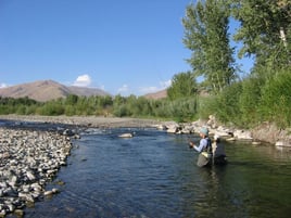 Idaho Trout Adventure