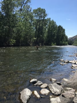 Idaho Trout Adventure