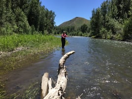 Idaho Trout Adventure