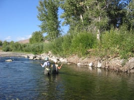 Idaho Trout Adventure