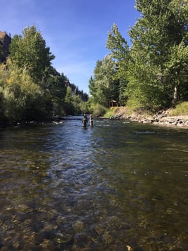 Idaho Trout Adventure