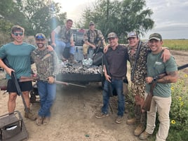 South Texas Doves and White Wings