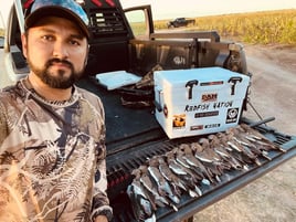 South Texas Doves and White Wings