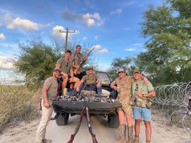 South Texas Doves and White Wings