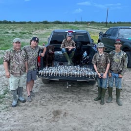 South Texas Doves and White Wings