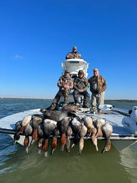 Coastal Bend Duck Assault