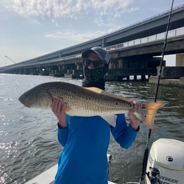 Redfish Fishing in Wanchese, North Carolina