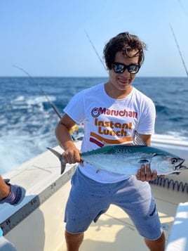 False Albacore Fishing in Manteo, North Carolina