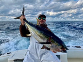 Yellowfin Tuna Fishing in Manteo, North Carolina