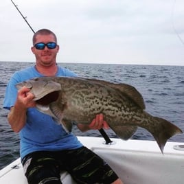 Gag Grouper Fishing in Wanchese, North Carolina