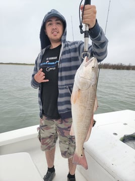 Redfish Fishing in Port Aransas, Texas