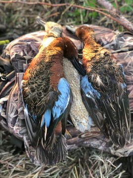 Lake Livingston Wood Duck Shoot