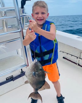 Triggerfish Fishing in Manteo, North Carolina