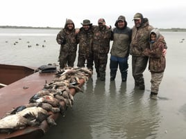 South Texas Waterfowl