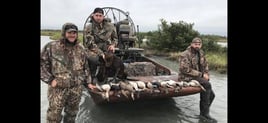 South Texas Waterfowl