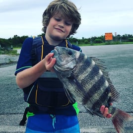 Sheepshead Fishing in Wanchese, North Carolina