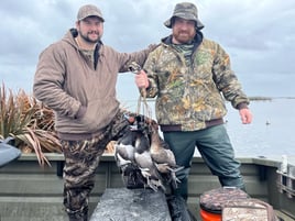 Self Guided Coastal Bend Ducks