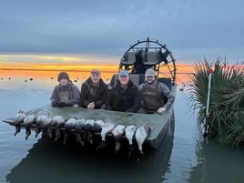 Self Guided Coastal Bend Ducks