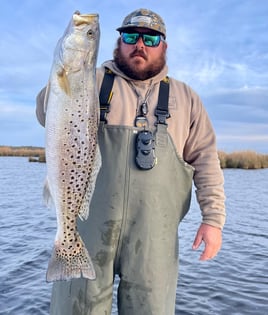 Speckled Trout Fishing in Manteo, North Carolina