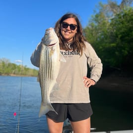 Striped Bass Fishing in Manteo, North Carolina