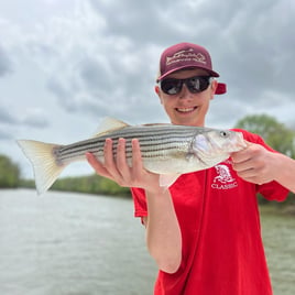 Striped Bass Fishing in Manteo, North Carolina