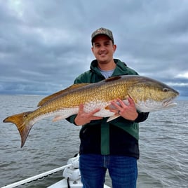 Redfish Fishing in Manteo, North Carolina