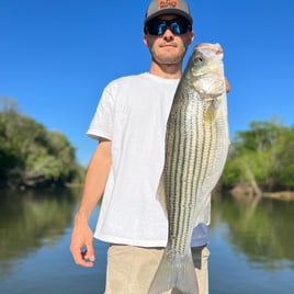 Striped Bass Fishing in Manteo, North Carolina