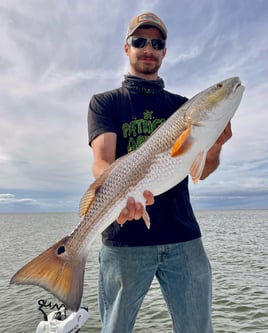 Redfish Fishing in Manteo, North Carolina