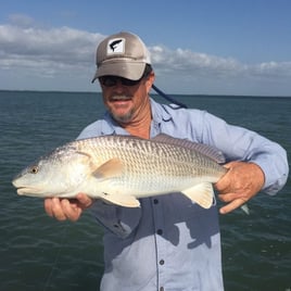 Redfish Fishing in Port Mansfield, Texas