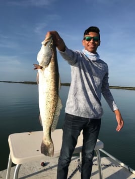 Speckled Trout Fishing in Port Mansfield, Texas