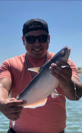 Falcon Lake Bass and Cats