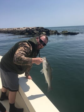 Striped Bass Fishing in Bourne, Massachusetts