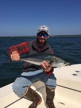 False Albacore Fishing in Bourne, Massachusetts