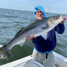 Striped Bass Fishing in Bourne, Massachusetts