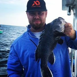 Black Seabass Fishing in Bourne, Massachusetts