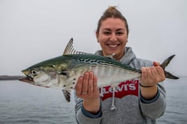 False Albacore Fishing in Bourne, Massachusetts