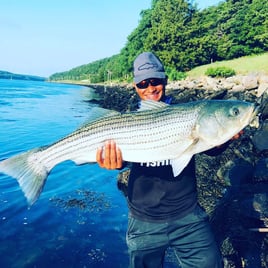 Striper and Bluefish Trip